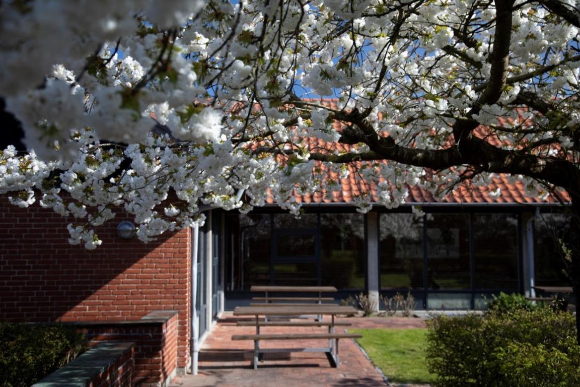 Danhostel Sonderborg City Exterior photo